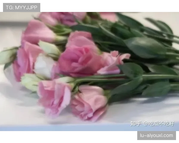 张楠朋友圈随手一拍就是高级感，看着又甜又穷的感觉太像吃瓜群众的日常