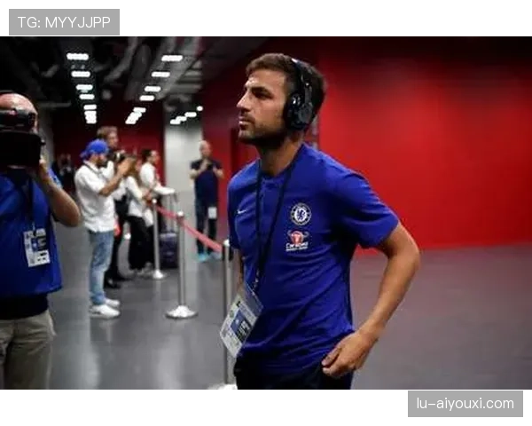 法布雷加斯与若日尼奥中场推进方式与传球结构的分化机制